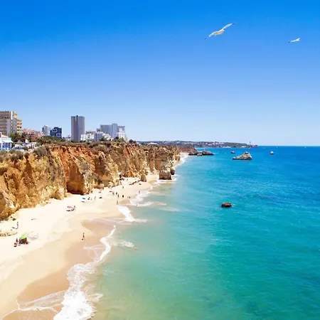 A58 - Rocha Grand View In Appartement *